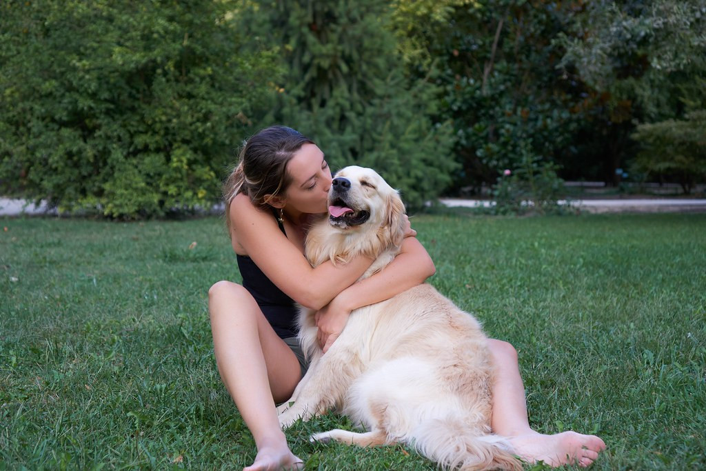 Gambar The First Anti-Aging Pill for Dogs Could Be Available Next Year